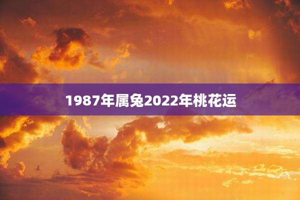 1987年属兔2022年桃花运