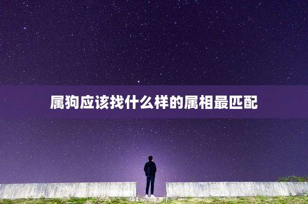 属狗应该找什么样的属相最匹配