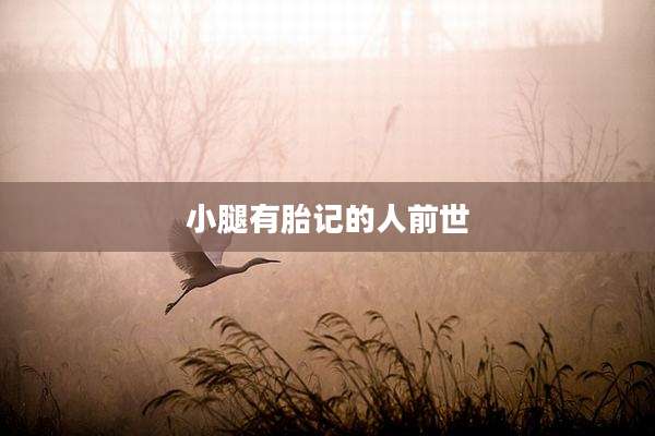 小腿有胎记的人前世
