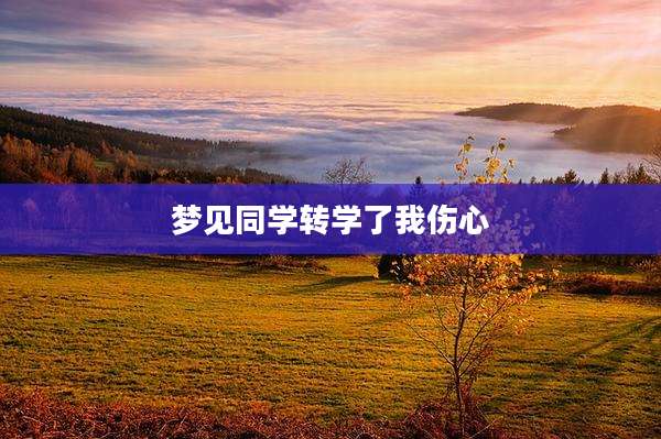 梦见同学转学了我伤心