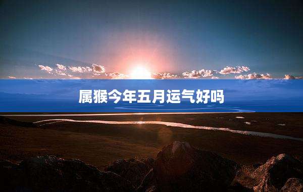 属猴今年五月运气好吗