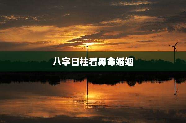 八字日柱看男命婚姻
