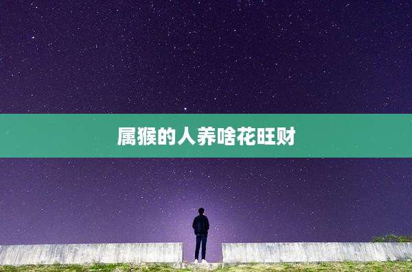 属猴的人养啥花旺财