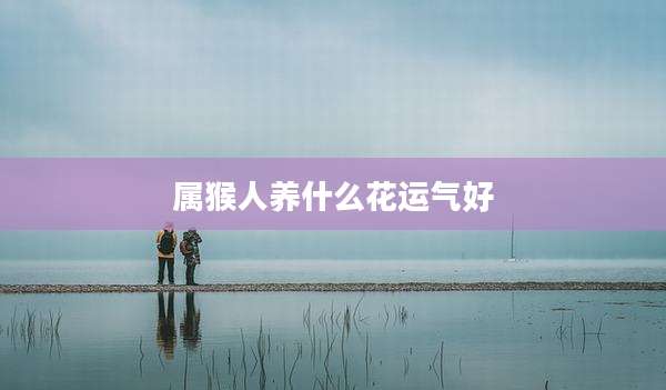 属猴人养什么花运气好