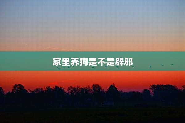 家里养狗是不是辟邪