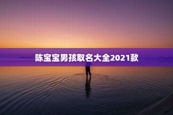陈宝宝男孩取名大全2021款