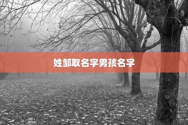 姓邹取名字男孩名字