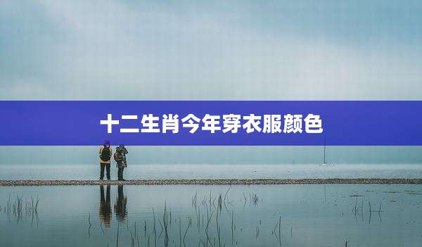 十二生肖今年穿衣服颜色