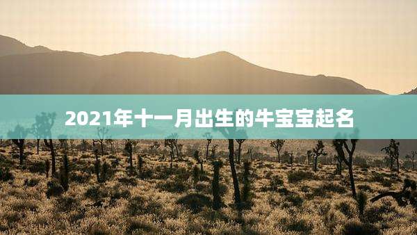 2021年十一月出生的牛宝宝起名