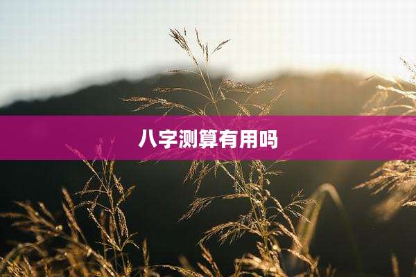 八字测算有用吗