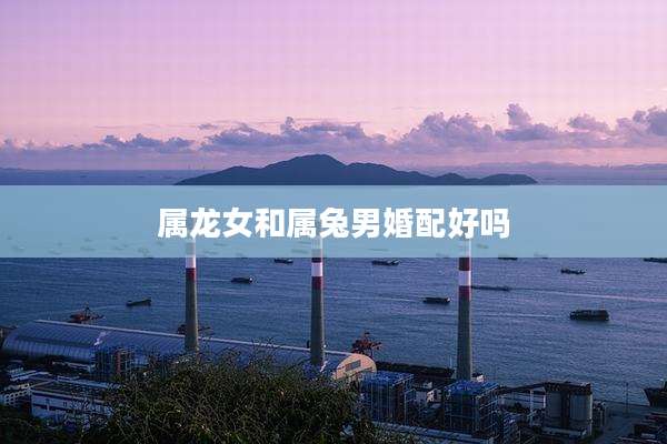 属龙女和属兔男婚配好吗