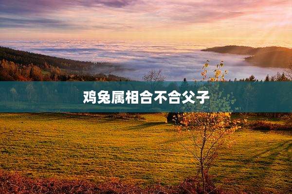 鸡兔属相合不合父子