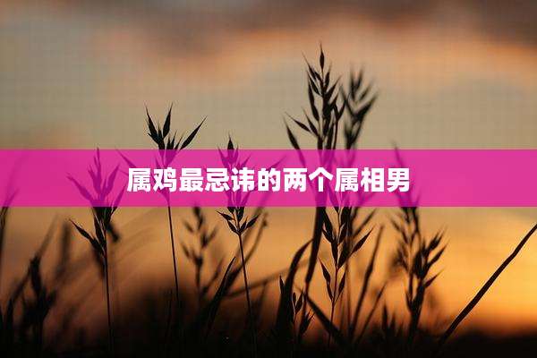 属鸡最忌讳的两个属相男