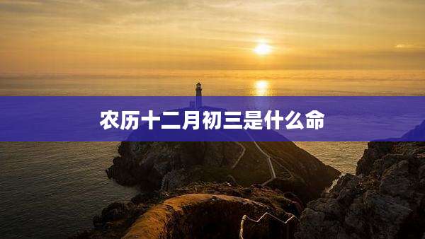 农历十二月初三是什么命