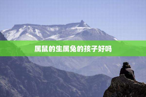属鼠的生属兔的孩子好吗