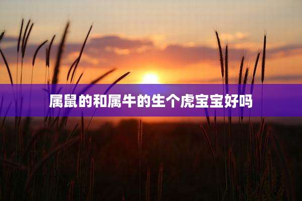 属鼠的和属牛的生个虎宝宝好吗