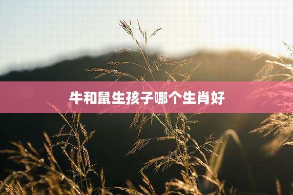牛和鼠生孩子哪个生肖好