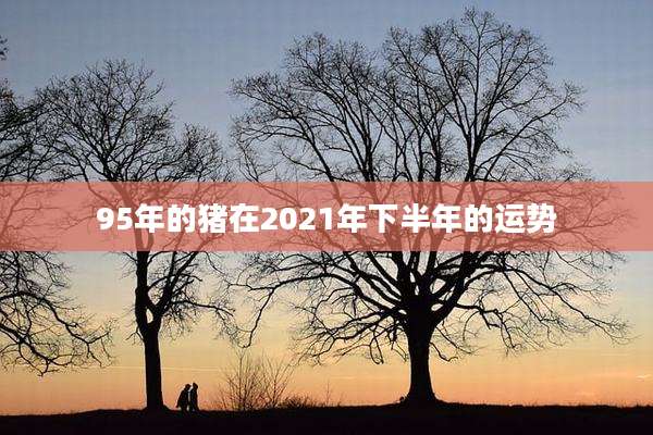 95年的猪在2021年下半年的运势