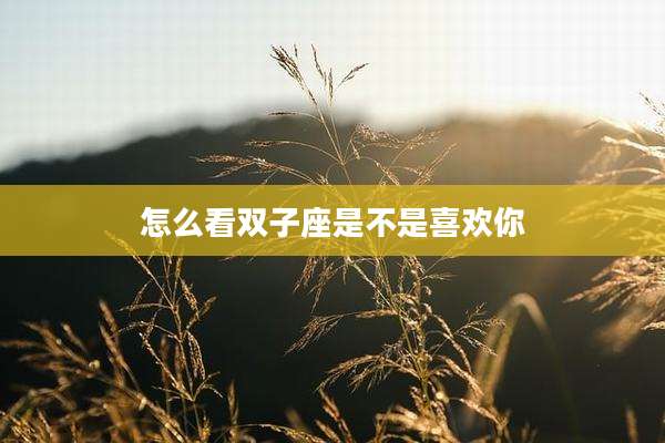 怎么看双子座是不是喜欢你