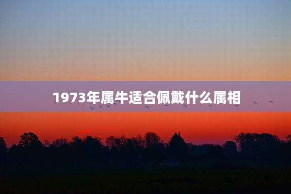 1973年属牛适合佩戴什么属相