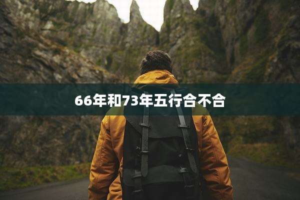 66年和73年五行合不合