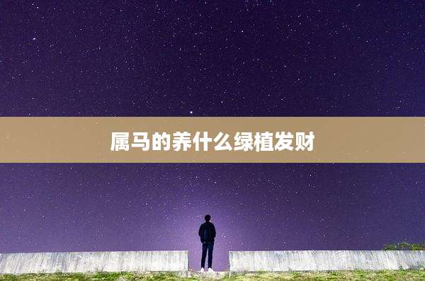 属马的养什么绿植发财