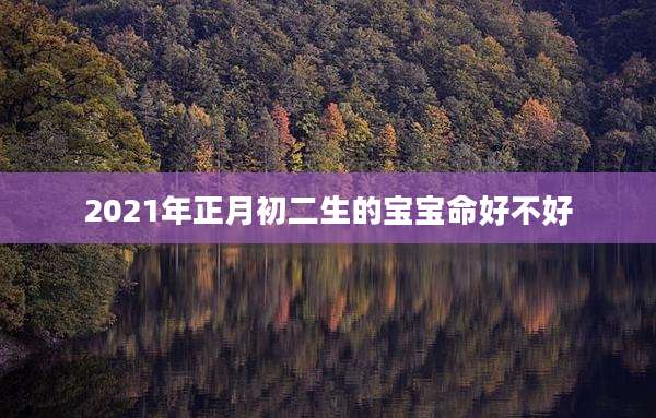 2021年正月初二生的宝宝命好不好