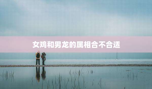 女鸡和男龙的属相合不合适