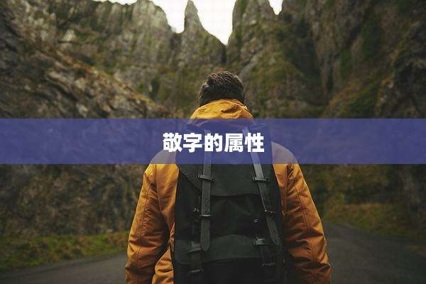 敬字的属性