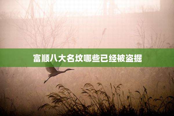 富顺八大名坟哪些已经被盗掘