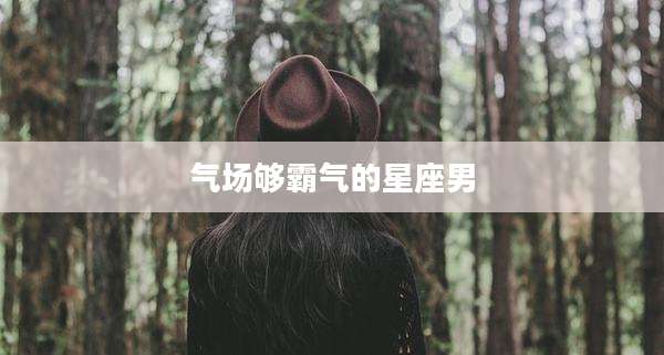 气场够霸气的星座男