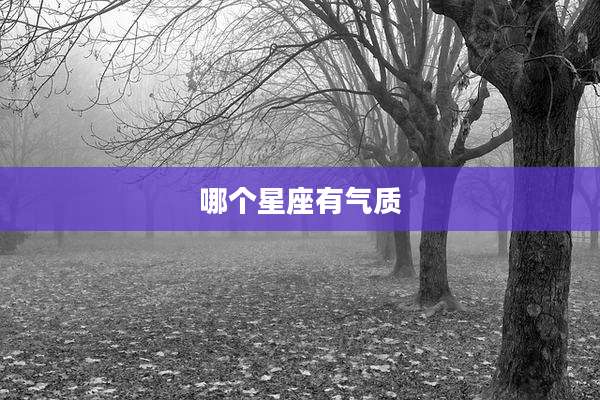 哪个星座有气质