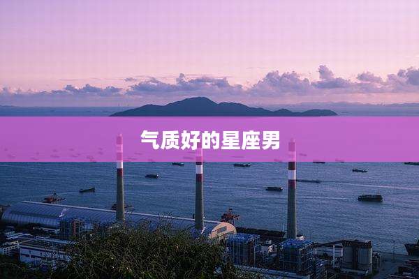 气质好的星座男