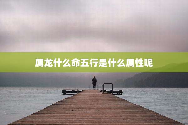 属龙什么命五行是什么属性呢