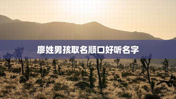 廖姓男孩取名顺口好听名字