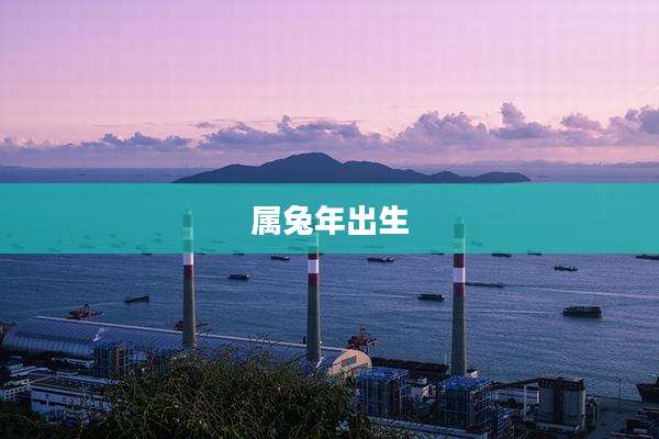 属兔年出生