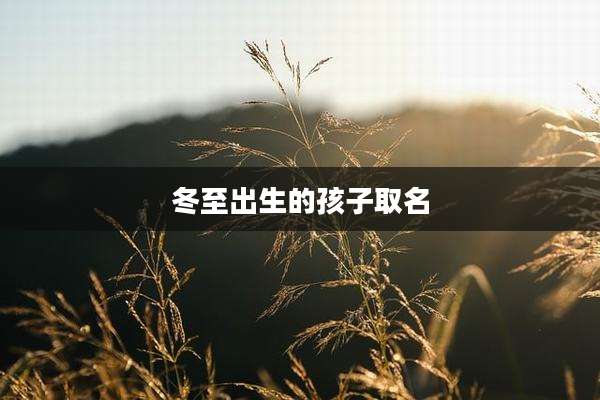 冬至出生的孩子取名