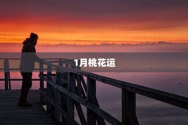 1月桃花运