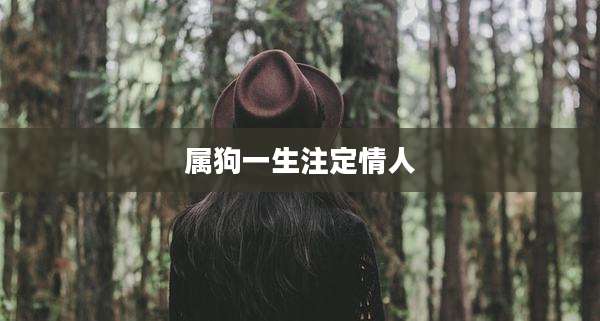 属狗一生注定情人