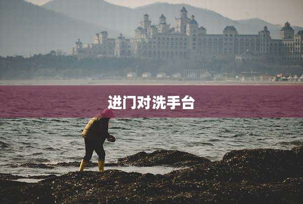 进门对洗手台
