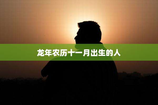 龙年农历十一月出生的人