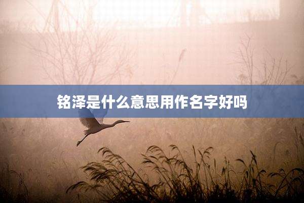 铭泽是什么意思用作名字好吗