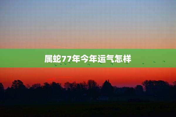 属蛇77年今年运气怎样