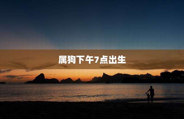 属狗下午7点出生