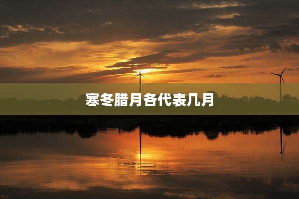 寒冬腊月各代表几月