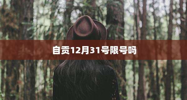 自贡12月31号限号吗