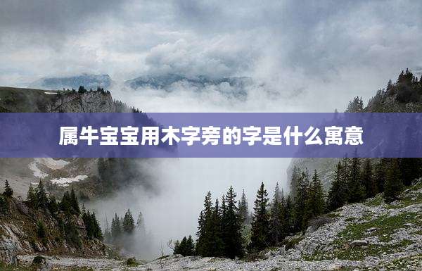 属牛宝宝用木字旁的字是什么寓意