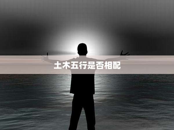 土木五行是否相配
