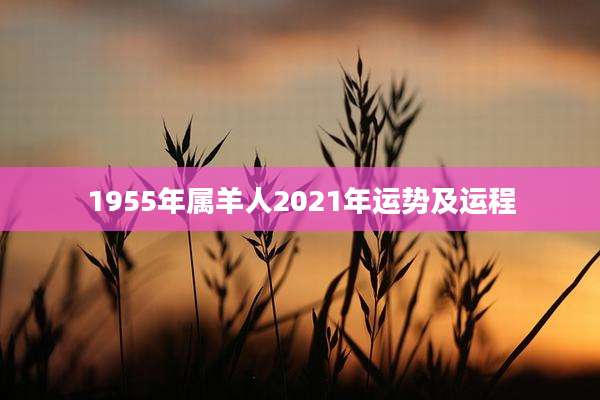 1955年属羊人2021年运势及运程
