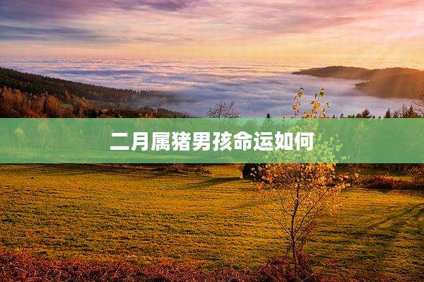 二月属猪男孩命运如何